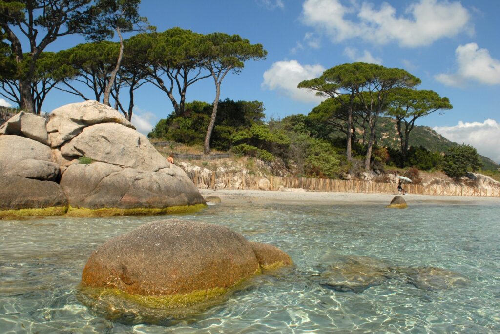 plage de Palombaggia