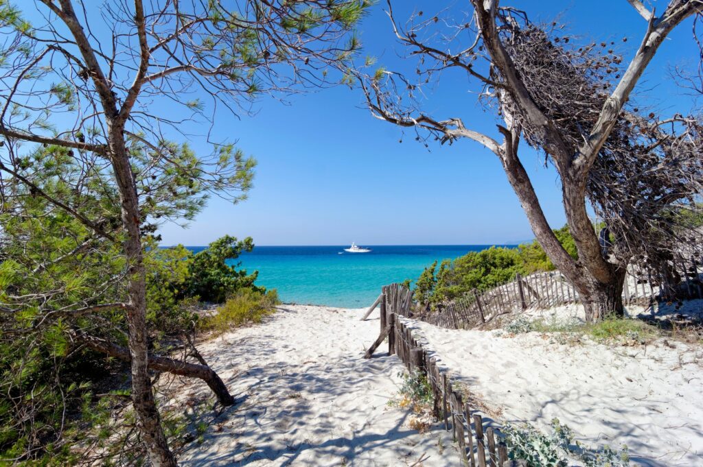 Plage de Saleccia