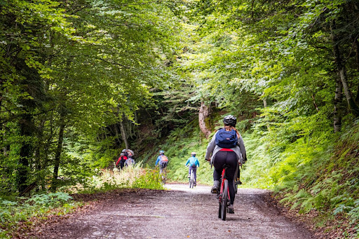 Fietsen op Corsica door een groene bosroute tijdens een fietstocht in de natuur