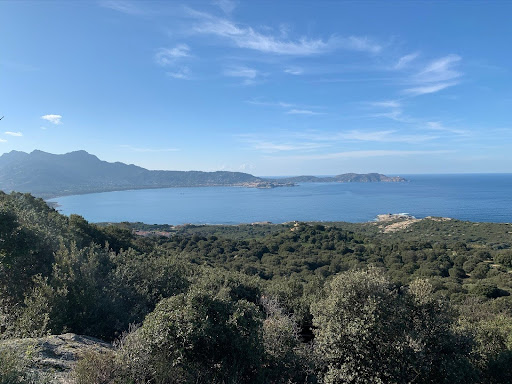 Panoramisch uitzicht over de kust en bergen van Corsica bij helder weer tijdens de beste reistijd voor Corsica